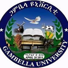 Gambella University Students Forum