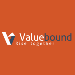 Valuebound Consulting