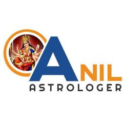 Anil  Astrologer