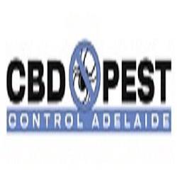 CBD Ant Control Adelaide