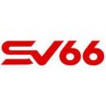  SV 66P