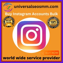 Buy Instagram  Accounts Bulk